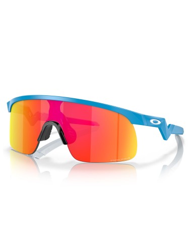 Resistor Sky Blue/Prizm Ruby Sunglasses (Kids) ouvre sa boutique