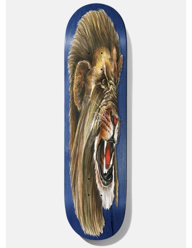 Big Cats Hawk 8.38'' Skateboard Deck Comment ça marche